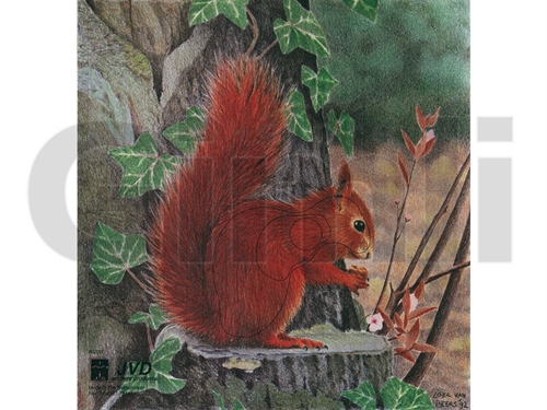 JVD Animal Face - Squirrel/Egern
