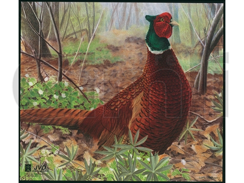JVD Animal Face - Pheasant/Fasan Kok