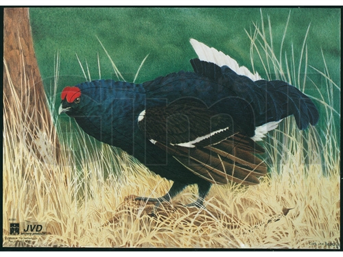 JVD Animal Face Blue - Grouse/Urkok