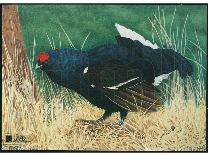 JVD Animal Face Blue - Grouse/Urkok
