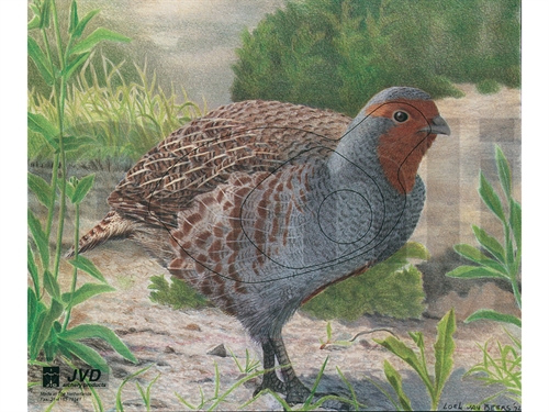 JVD Animal Face Partridge/Agerhøne