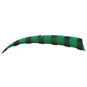 Bearpaw Turkey barred 5" shield RW faner