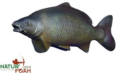 CARP
