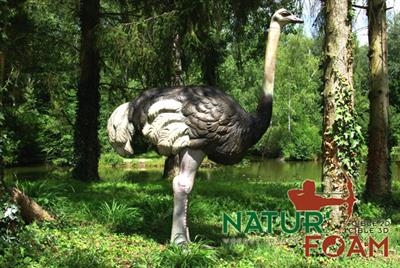OSTRICH