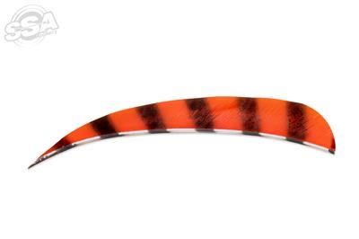 Buck Trail 5" Barred Parabolic fjerfaner
