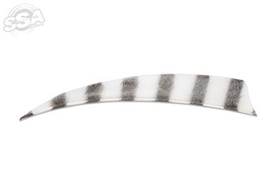 Buck Trail Feathers 5" Shield - Barred 