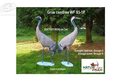RED-CROWNED CRANE