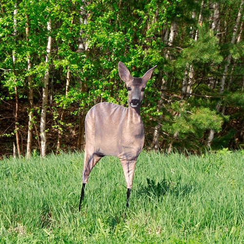 Montana Decoy Co - Roe Doe Decoy femal